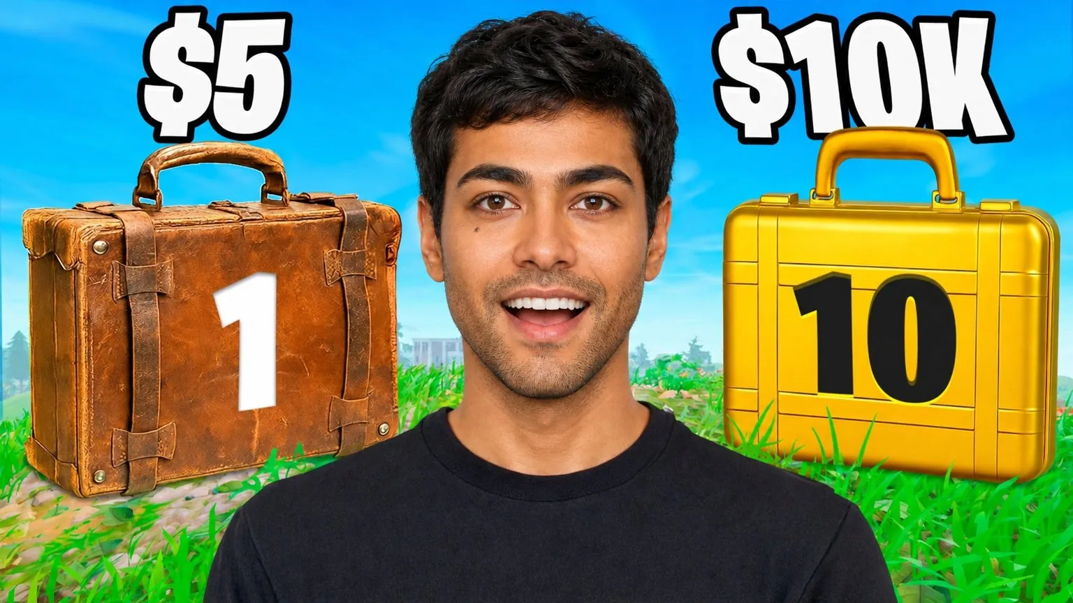 Cheap vs expensive: You in the middle between a $5 case and a $10K case, the two prices in huge white letters.