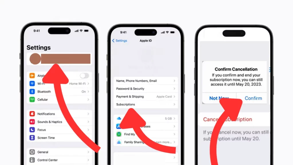 iPhone Settings Cancel Subscription Guide -